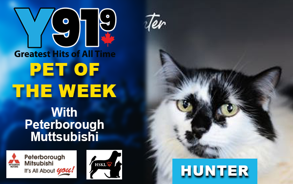 Y91.9 Pet of the Week